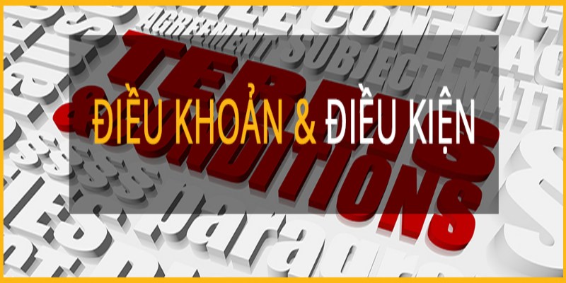 Vì sao phải hiểu điều khoản và điều kiện